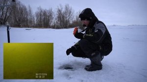 Подводная камера Calypso. Обзор, тест, характеристики.