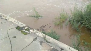 Комсомольск-на-Амуре - наводнение уровень Силинки и "автобан" на Дземги
