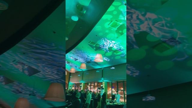 Клиентское мероприятие Private Mafia Party. Betera, 2023 смотреть онлайн