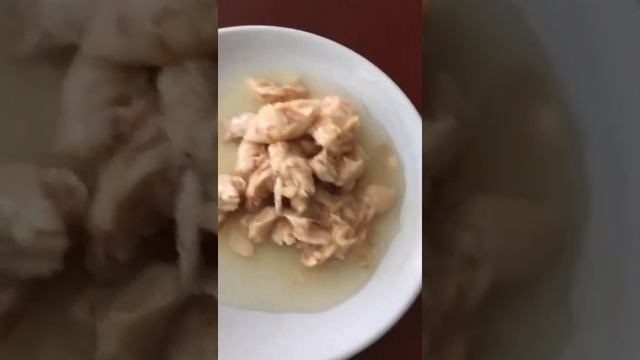 mackerel cat dog food смотреть онлайн