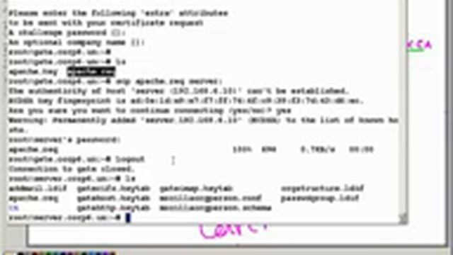 Пользовательские сертификаты в электронной почте смотреть онлайн