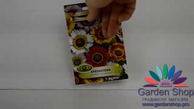 Семена за градинска кълбовидна хризантема микс смотреть онлайн