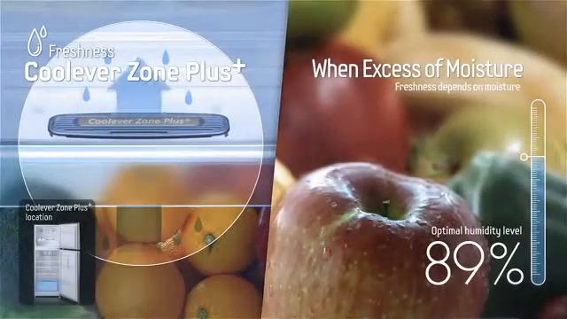 Холодильник Samsung RT54FBPN с отделением Coolever Zone Plus+.mp4 смотреть онлайн