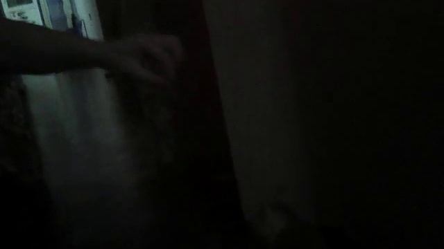 Кошки ловят рыбу на когти а когти кошек на колбасу