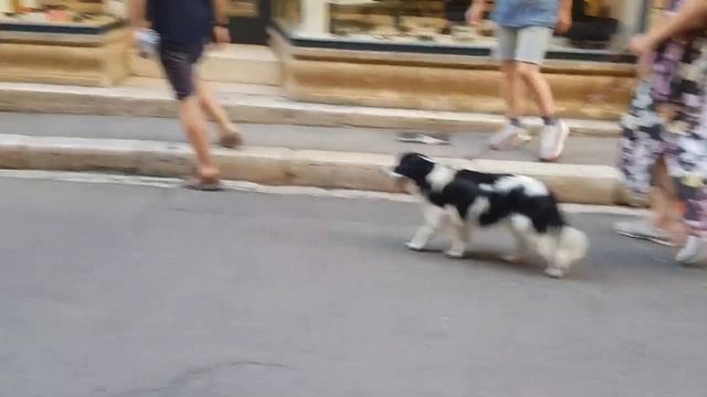 франция/Aix en Provence.Город, в котором я встретила свою ЛЮБОВЬ/Экс-ан-Прованс смотреть онлайн