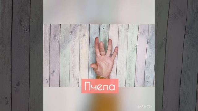 Пальчиковая гимнастика "Прилетели на цветок" смотреть онлайн