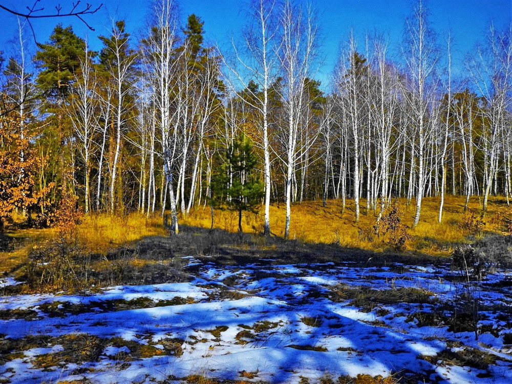 Ю. Гришин, Весенние мечты