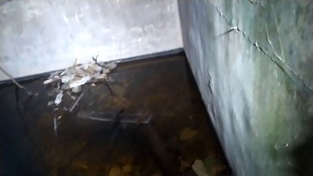 Графские развалины (Царские) Новороссийск. Широкая балка. Ночной поход. смотреть онлайн