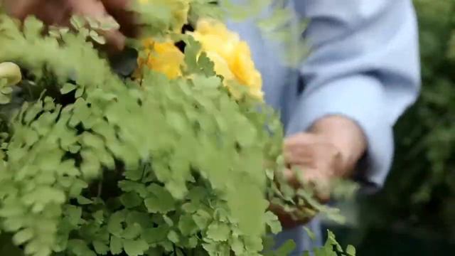Masters' Hands - G.Gastel e G.Taroni - Backstage смотреть онлайн