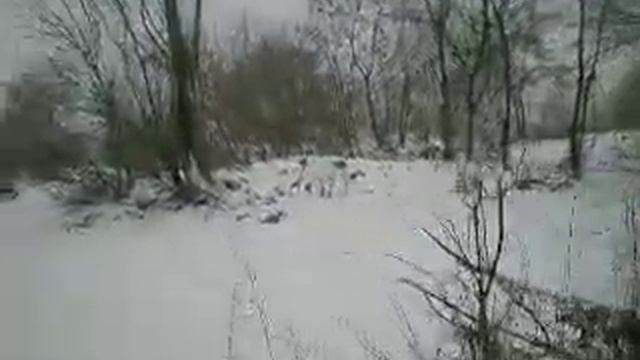 320 Мотострелковый  Гвардейский полк в.ч.А 2149