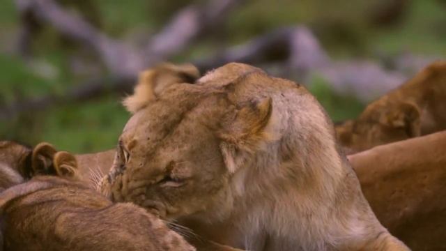 Подьем высоких вибраций в человеке смотреть онлайн