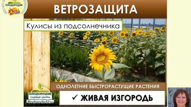 Планирование участка. Ветрозащита смотреть онлайн