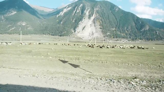 Vanlife по Кавказу - Бадукские озера, перевал Гум-Баши, Теберда, Медовые водопады, Гоначхир смотреть онлайн