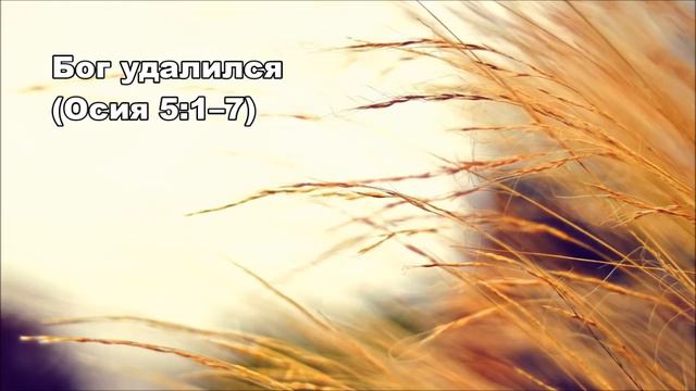 Тихое время с Живой Жизнью: Осия 5:1–15 (21102016) смотреть онлайн