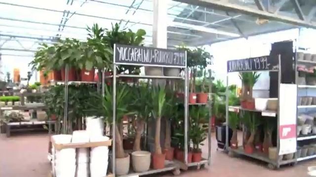 ON SE ILMOJA PIDELLYT смотреть онлайн