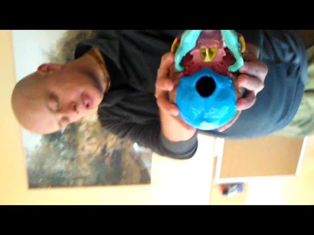 Семинар остеопатия МОЗГОВОЙ ЧЕРЕП 41 смотреть онлайн