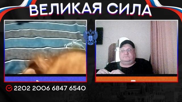 Мариуполь. Человек и собака. Они выжили.