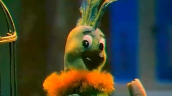 Попугай и Рома :)