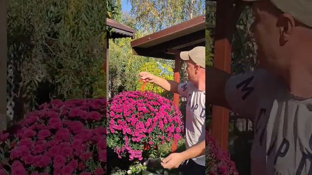 Не смог пройти мимо #diy #art смотреть онлайн