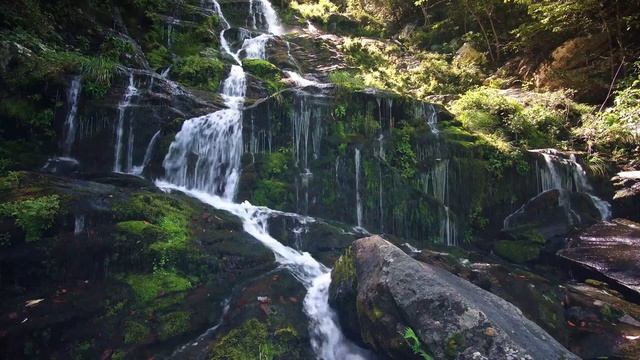 8 Hours River Waterfall in Forest and Water — Soothing Nature Sounds for Relaxing and Meditation смотреть онлайн