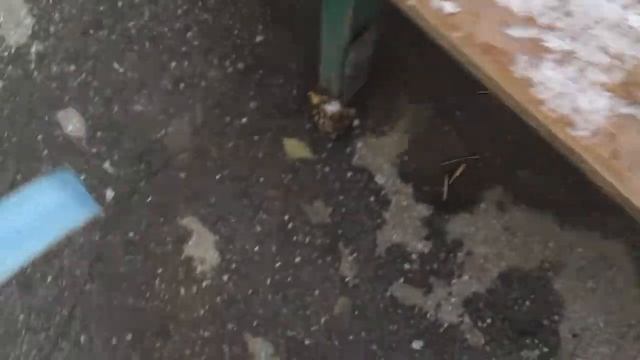 Снег осенью смотреть онлайн
