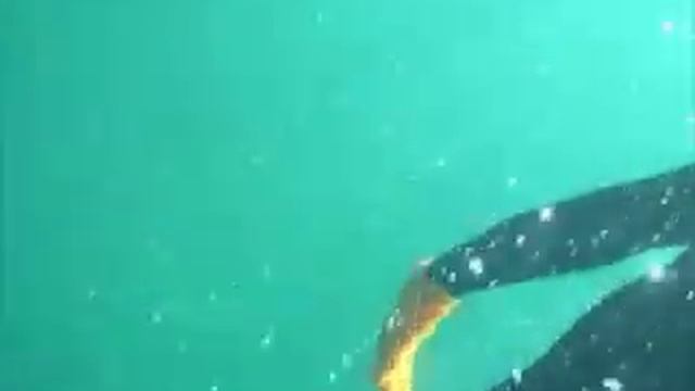 lancelin смотреть онлайн