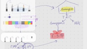 УГЛЕВОДЫ И ЛИПИДЫ.Взаимосвязь путей метаболизма.