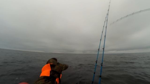 Рыбалка на Ладожском озере | Троллинг | Судак смотреть онлайн