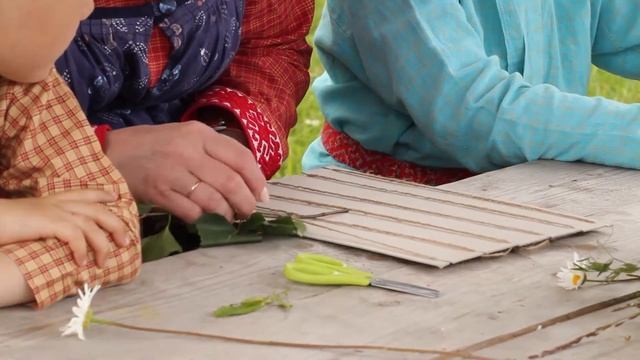 Декоративное панно из трав и растений смотреть онлайн