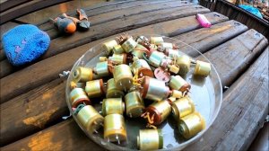 Палладий в резисторах СП-5-35б! Разбор резисторов на драг металл! Палладий из 38 штук резисторов!