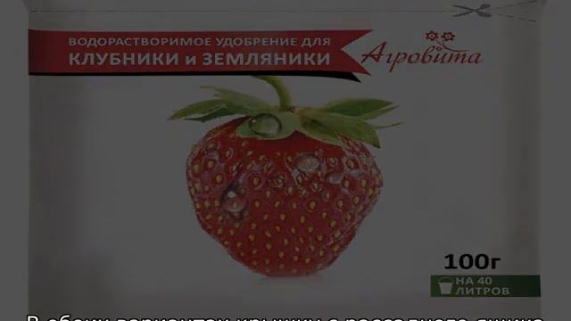 Как вырастить клубнику из семян смотреть онлайн