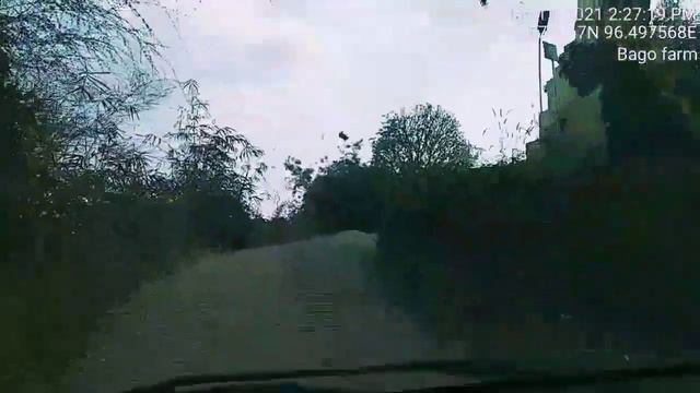 Acacia Mangium Plantation.Daesunpar, Bago Yoma. смотреть онлайн