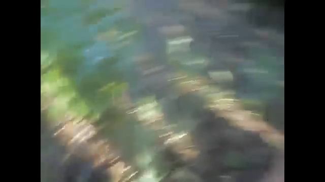 Пробуем корицу/Я и Таня