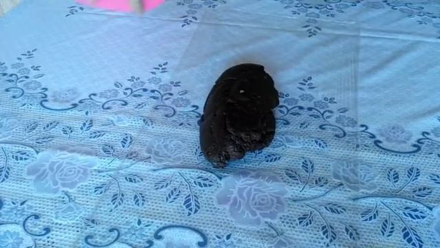 Рулет «Баунти» без выпечки.Шоколадно-кокосовый рулет/Рулет "Bounty" смотреть онлайн