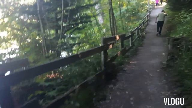 Воскресная прогулка на озеро с семьёй. смотреть онлайн