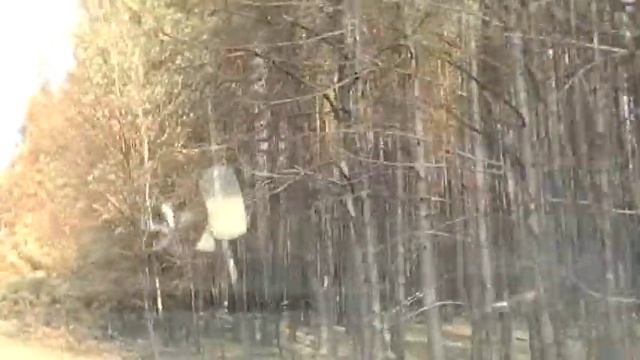 Zub-poliana-forests-fires.mod