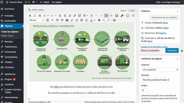 08 Modificar o editar páginas en WordPress смотреть онлайн