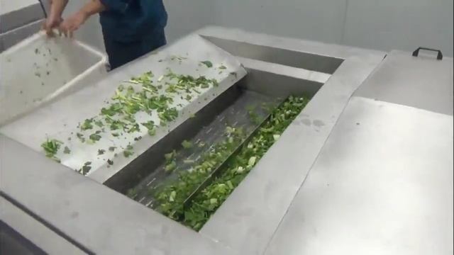 Водяной бланширователь смотреть онлайн
