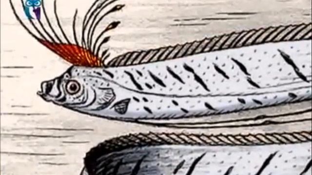 Ремень-рыба (Сельдяной король) смотреть онлайн