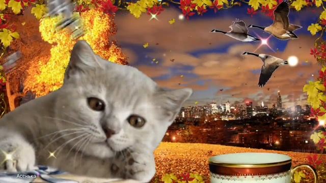 Доброго Вечера желаю!!! Уюта и Тёпла. Музыкальная открытка Добрый Вечер. смотреть онлайн