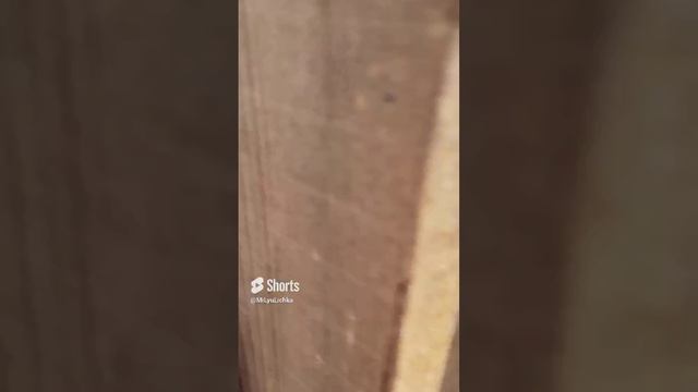 Готовая теплица