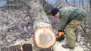 Цыганский  STIHL бензопила!