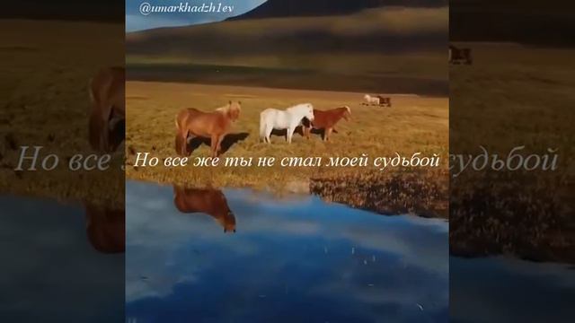 Расстояние любви ее смотреть онлайн