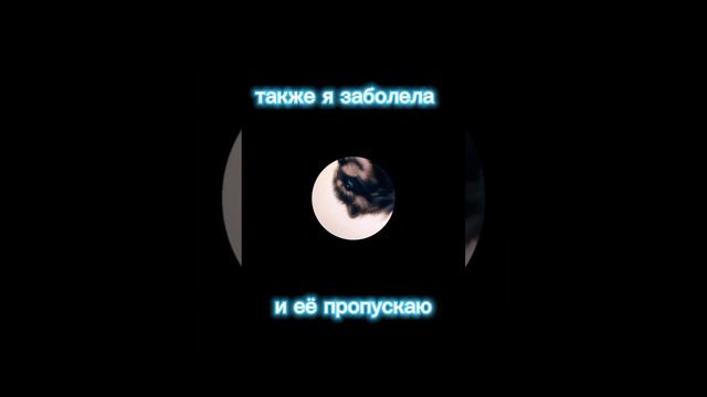 Педро педро смотреть онлайн