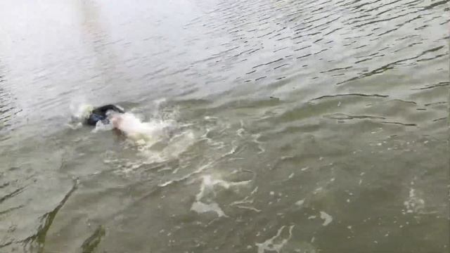 Первая тренировка на открытой воде!/Тестирование гидрокостюма смотреть онлайн