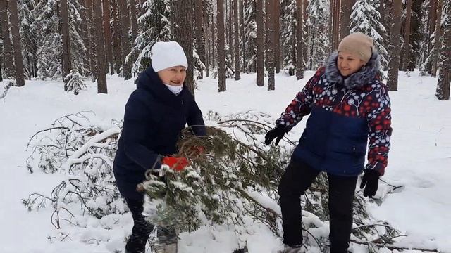 Всем привет из Вологодского леса!!!! смотреть онлайн
