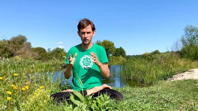 Авторские стили Йоги | Подводные камни смотреть онлайн