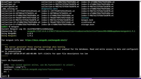 MongoDB - How To Backup and Restore Databases [MongoDB# 6]