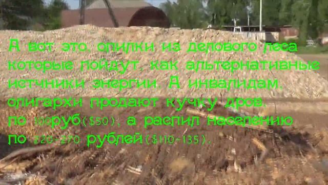 MM Разворовывание народного леса, под мифическим бредом! смотреть онлайн