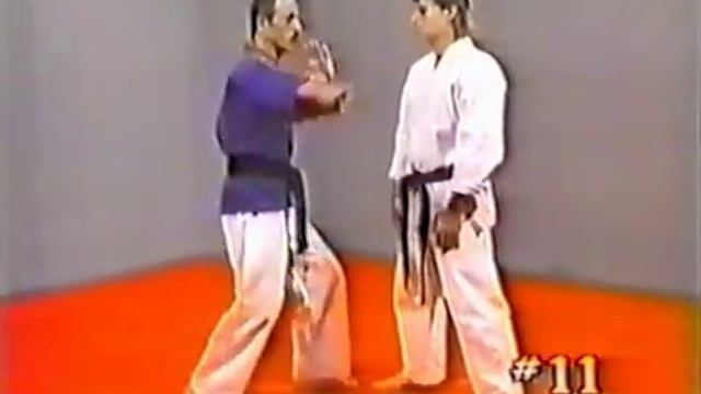 Hapkido 1   Basic Techniques